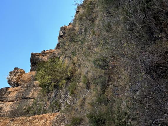 HABITAT
